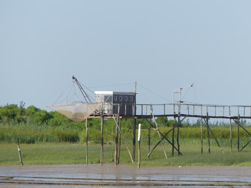 Croisière du dimanche sur l'estuaire à Terres d'Oiseaux