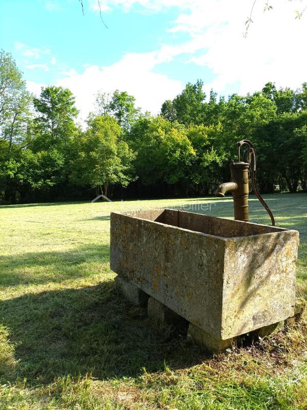 Terrain - 10 907 m²