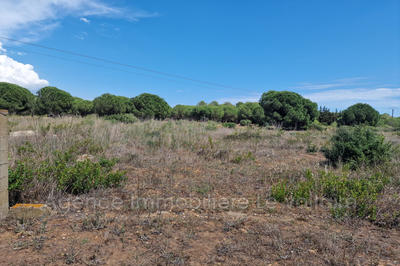 Terrain de loisirs - 1 400 m²