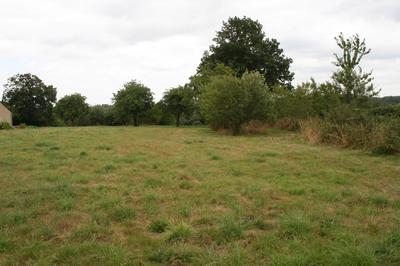 Terrain - 1 100 m²