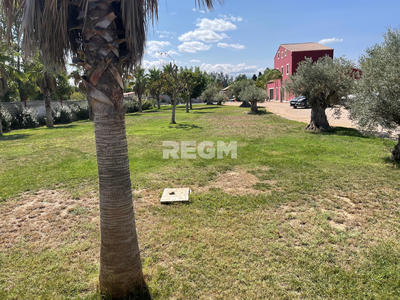 Mas - 260 m² - 6 pièces