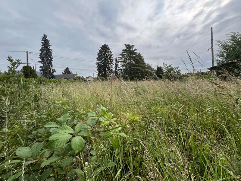 Terrain constructible - 15 260 m²