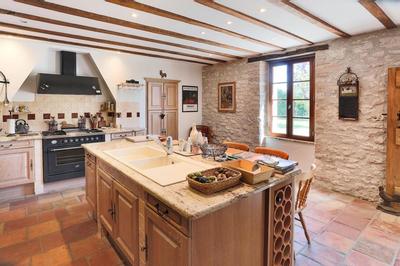 Maison en pierre - 409 m² - 10 pièces