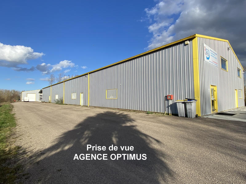 Local commercial - 1 170 m² - 7 pièces