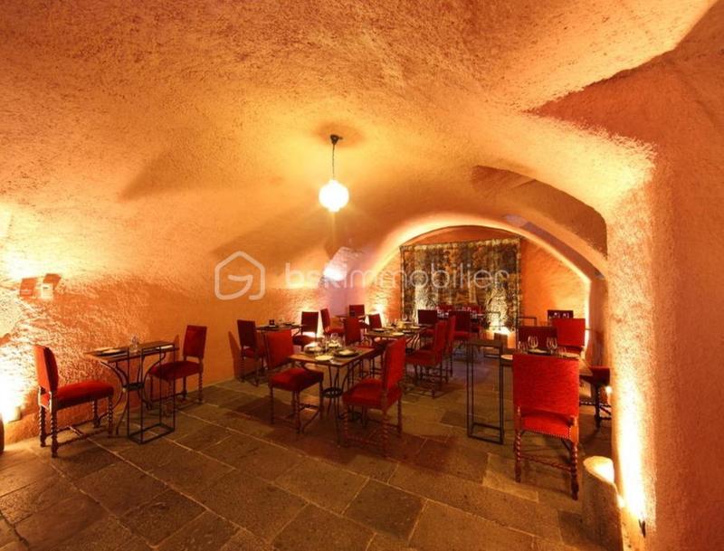 Château - 700 m² - 21 pièces