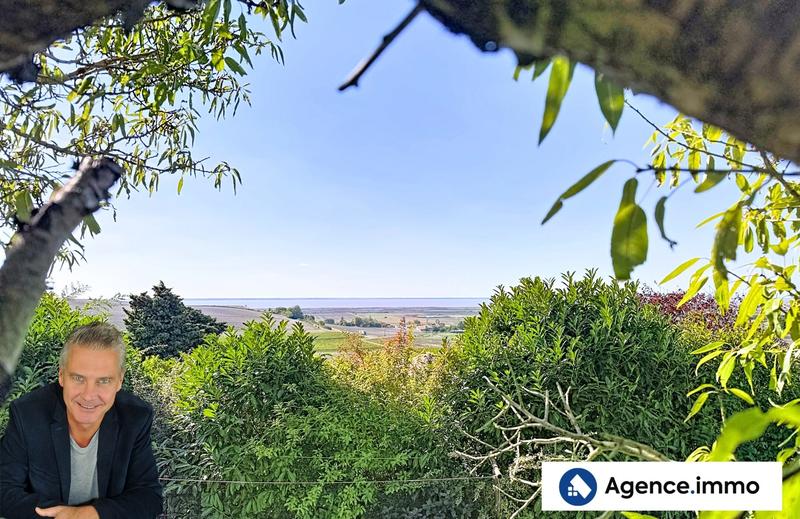 Viager - Maison ancienne - 98 m² - 4 pièces