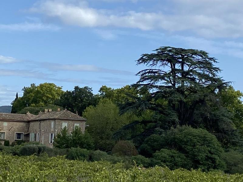 Propriété viticole - 370 m² - 8 pièces