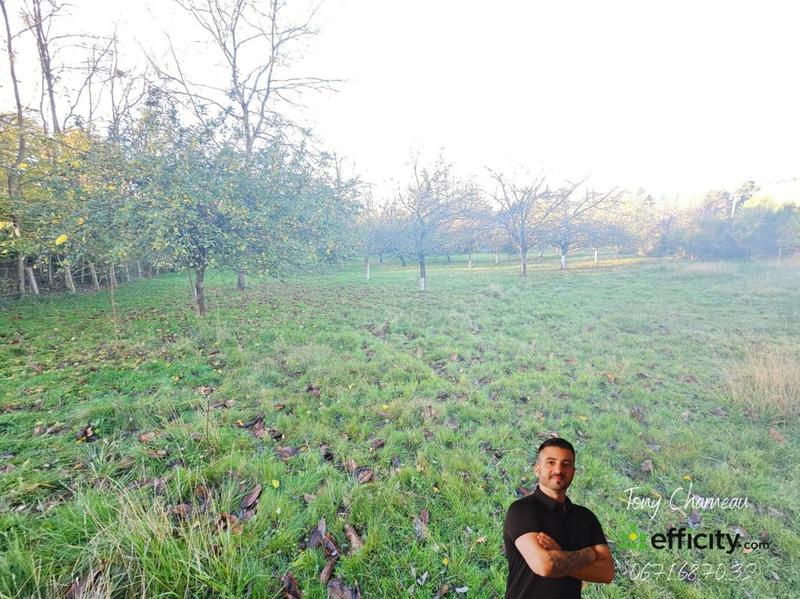 Terrain - 18 104 m²