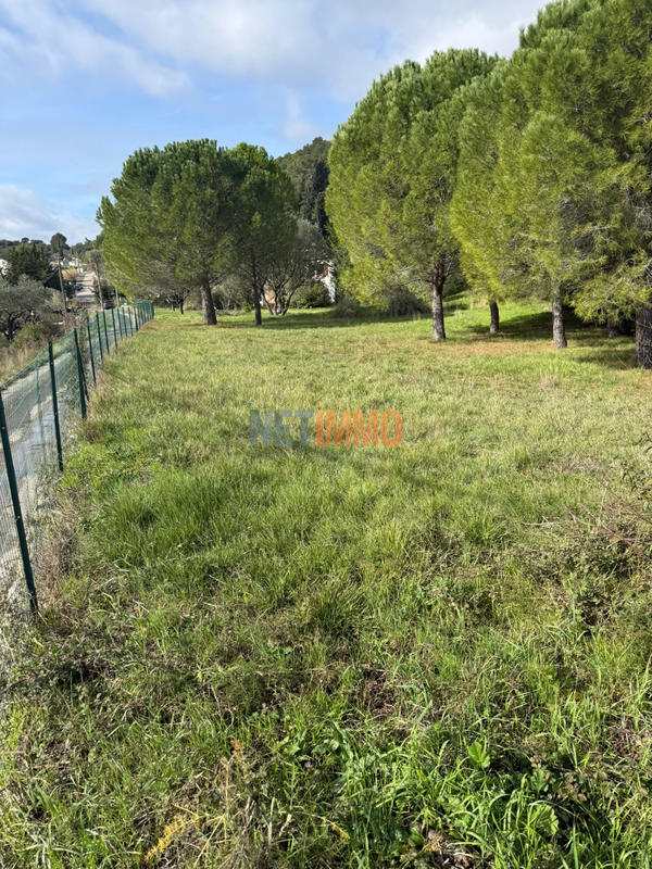 Terrain - 1 340 m²