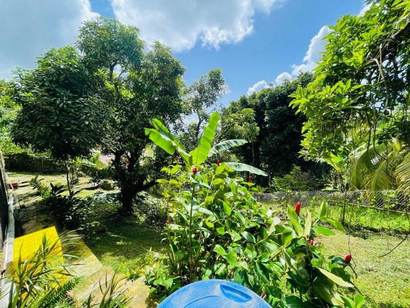 Maison - 360 m² - 10 pièces