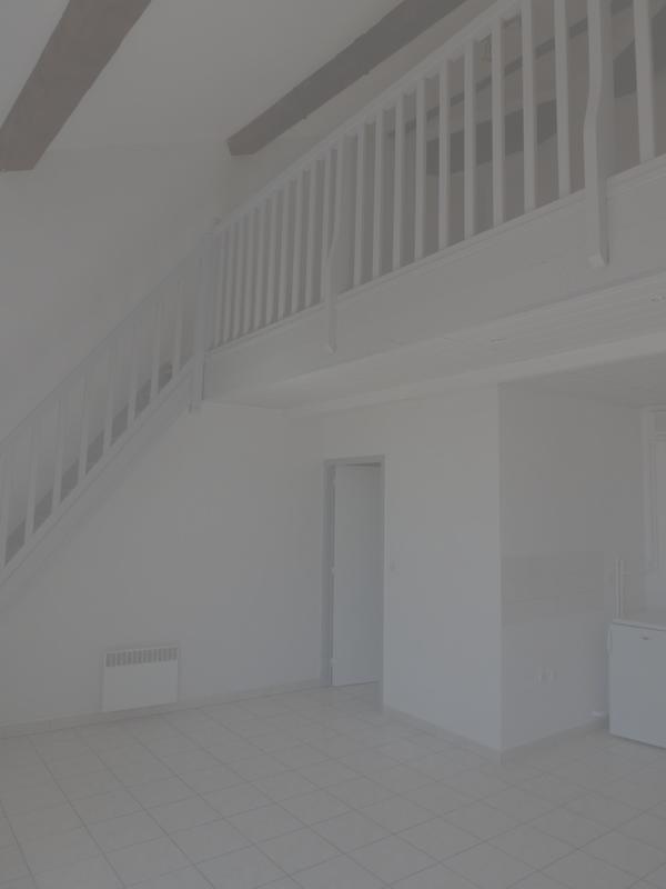 Appartement - 53 m² - 1 pièce