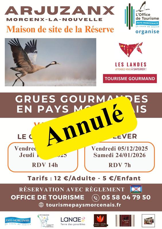 Annulé - les grues gourmandes en Pays Morcenais - le lever