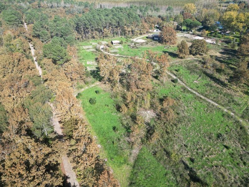 Terrain - 31 811 m²