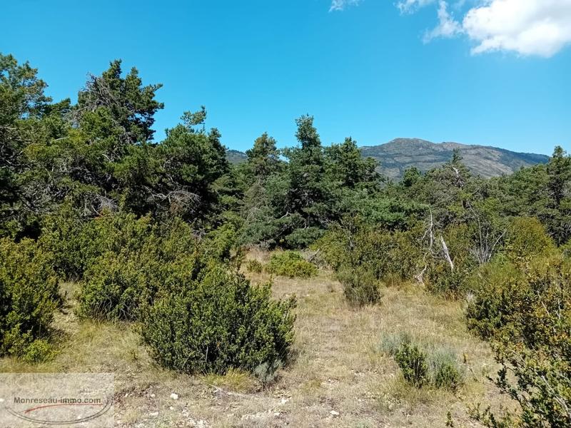 Terrain - 11 570 m²