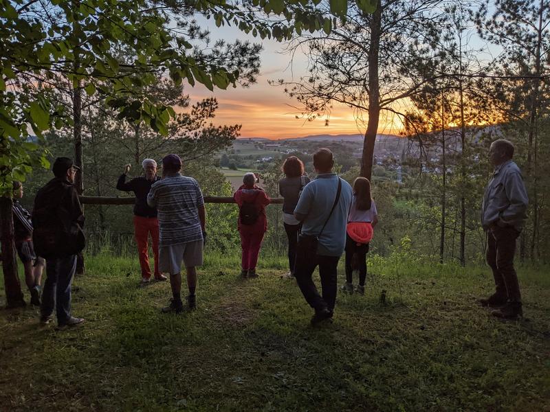 Nuit européenne des musées : Visite guidée nocturne du carreau Clemenceau