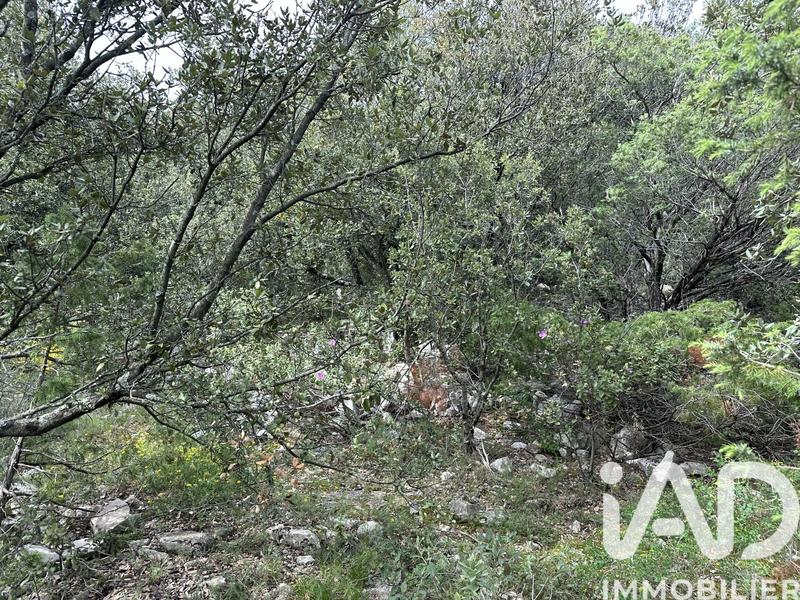 Terrain agricole - 2 710 m²