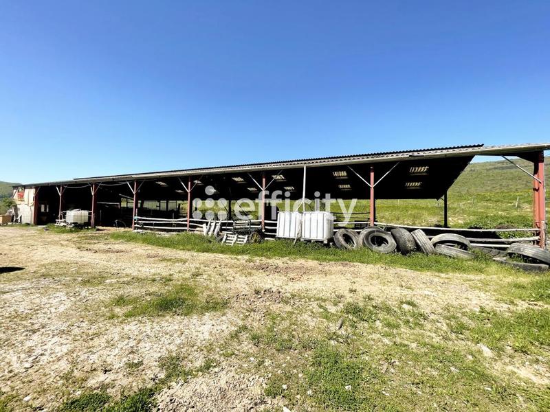 Terrain agricole - 200 000 m²