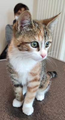 Cabinet Vétérinaire des Sources