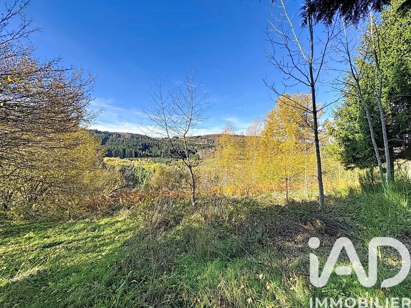 Maison de campagne - 165 m² - 6 pièces