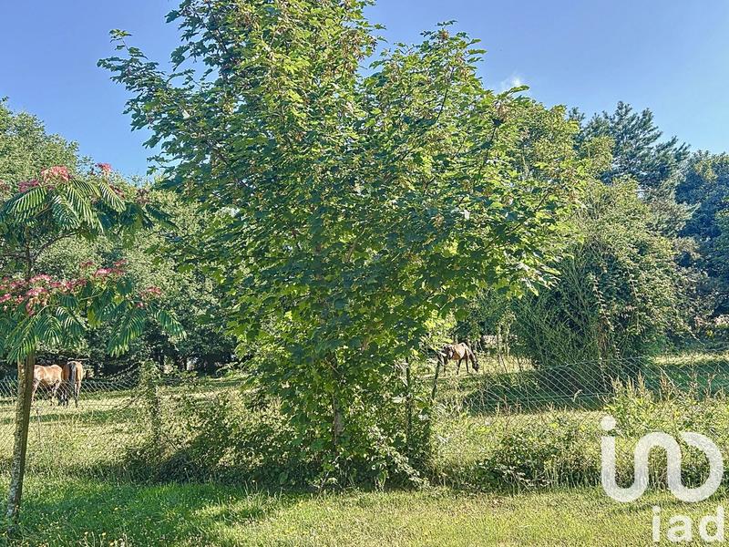 Maison de village - 288 m² - 15 pièces