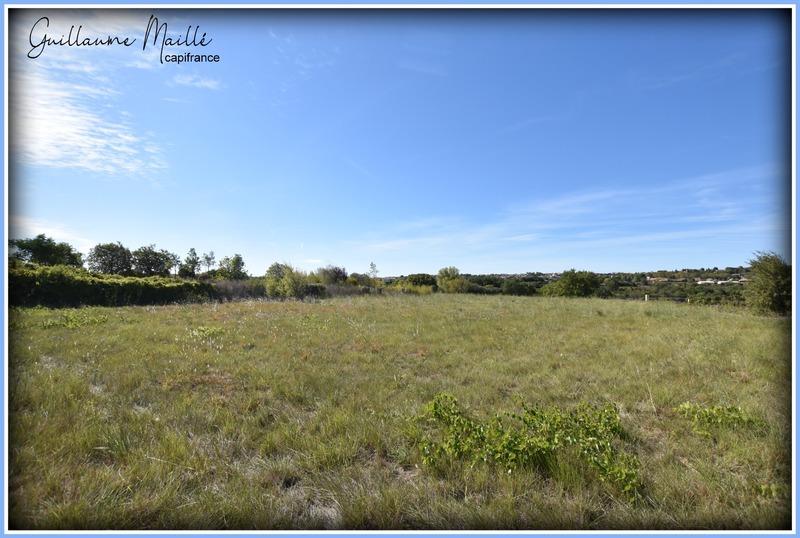 Terrain agricole - 5 970 m²