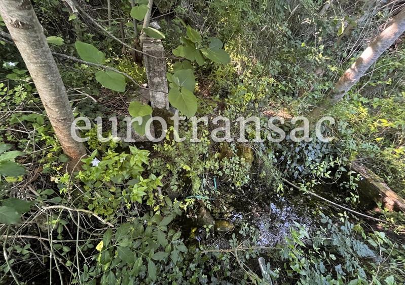 Terrain agricole - 11 480 m²