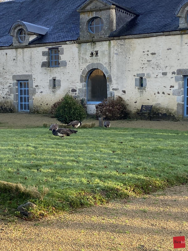 Manoir - 475 m² - 8 pièces