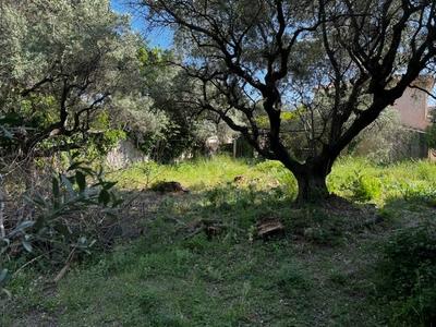 Terrain constructible - 850 m²