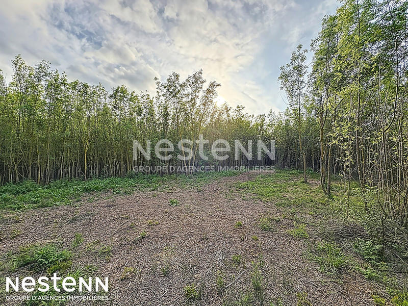 Terrain - 4 558 m²