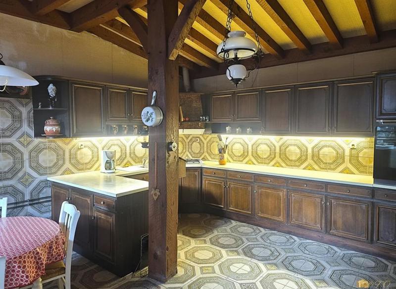 Maison de maîtres - 330 m² - 14 pièces