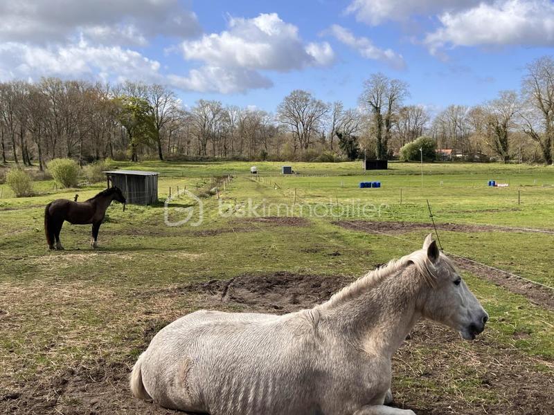 Ferme - 140 m² - 5 pièces