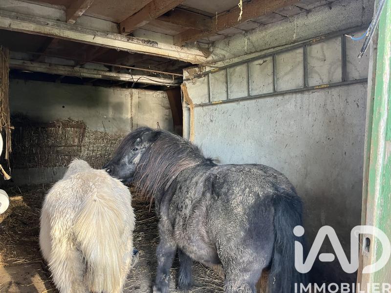 Maison de campagne - 100 m² - 5 pièces