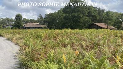 Terrain constructible - 1 350 m²