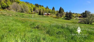 Terrain constructible - 1 950 m²