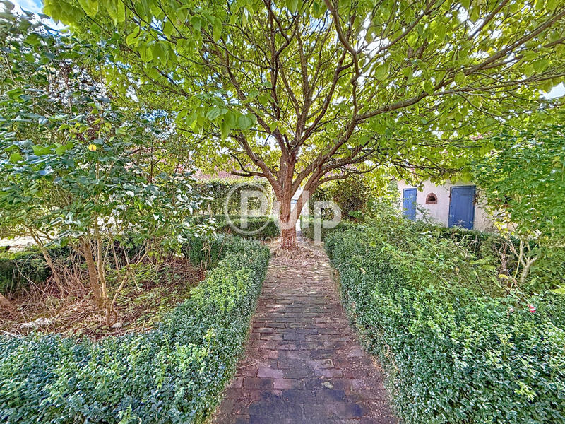 Immeuble - 245 m² - 12 pièces