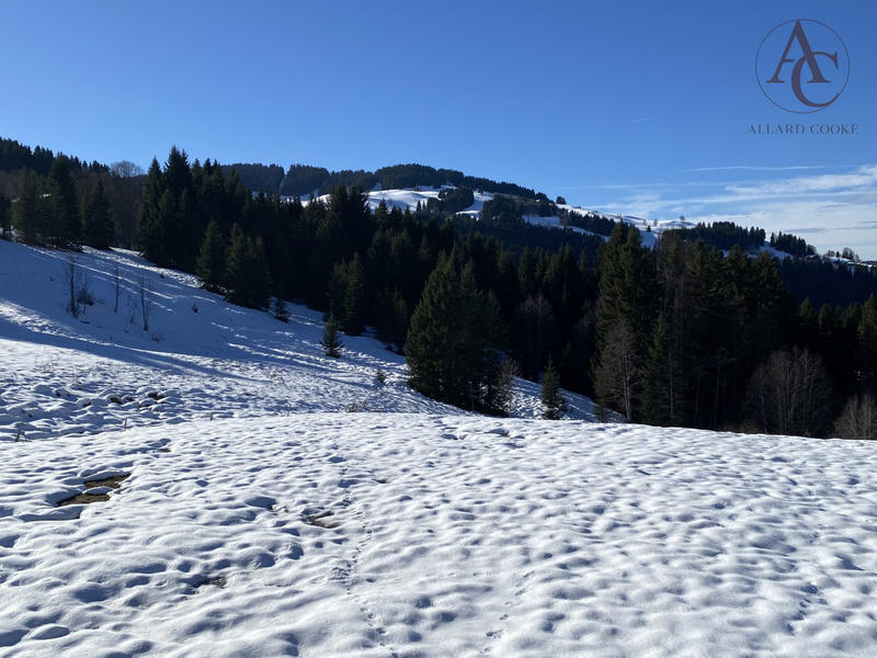 Châlet - 400 m² - 8 pièces