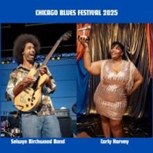 Chicago Blues Festival