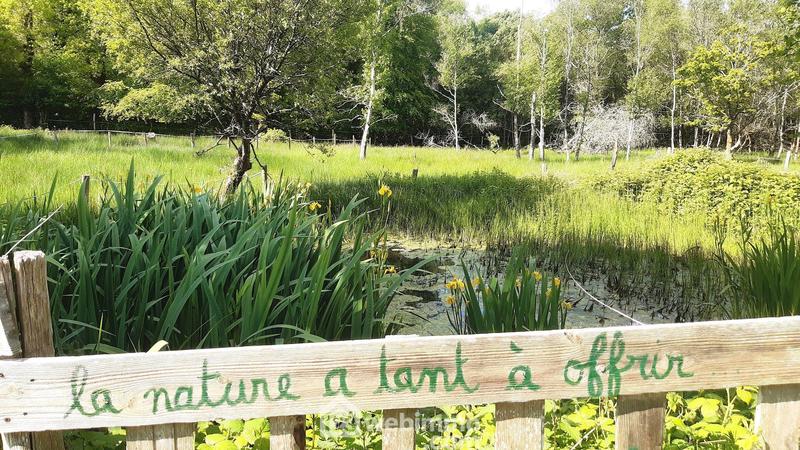 Ferme - 201 m² - 10 pièces