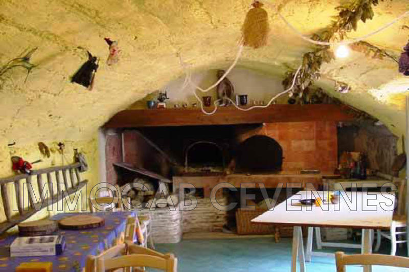 Mas - 500 m² - 20 pièces