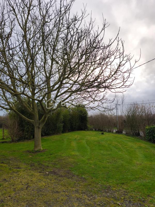 Maison ancienne - 140 m² - 5 pièces