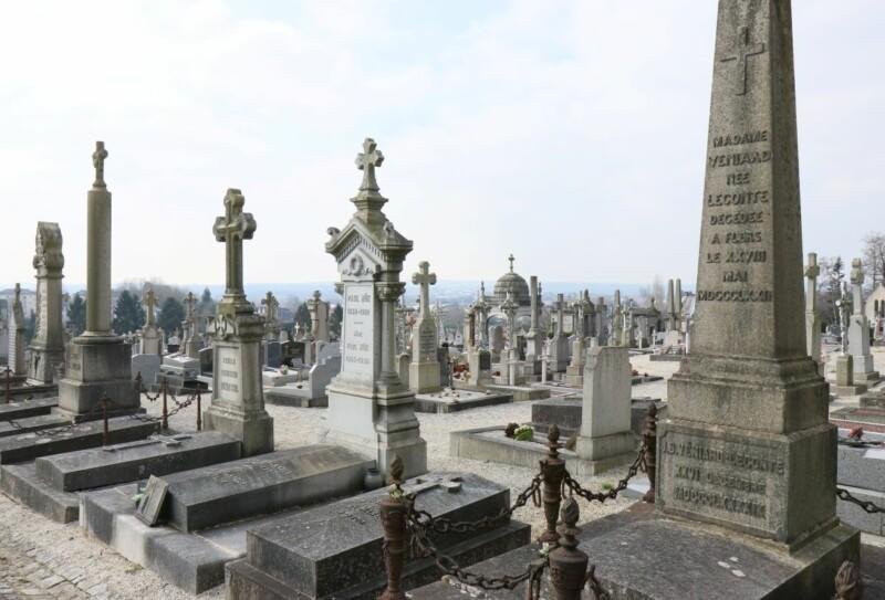 Samedis histoire- "Au fil des allées"