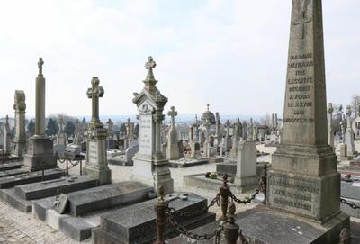 Samedis histoire- "Au fil des allées"