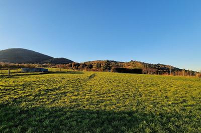 Terrain constructible - 720 m²