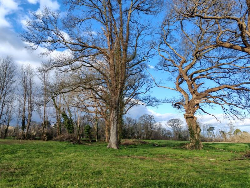 Grange - 130 m² - 1 pièce