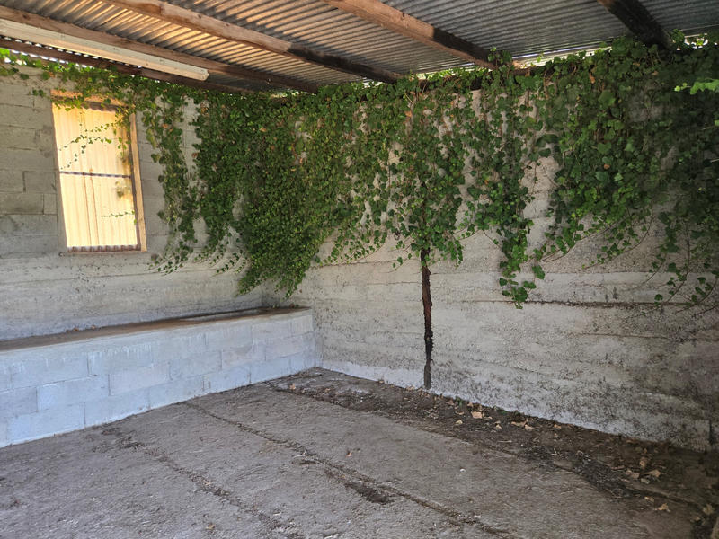 Local d'activités - 126 592 m²