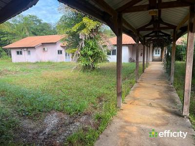 Immeuble - 1 429 m²