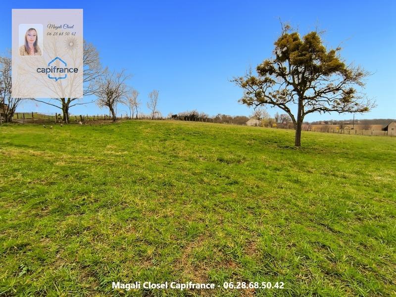 Terrain constructible - 3 056 m²