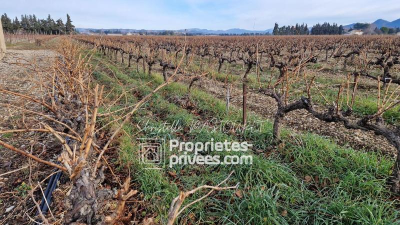 Propriété - 900 m² - 28 pièces