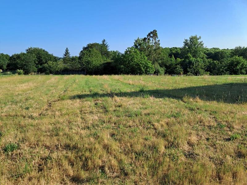 Terrain constructible - 1 923 m²