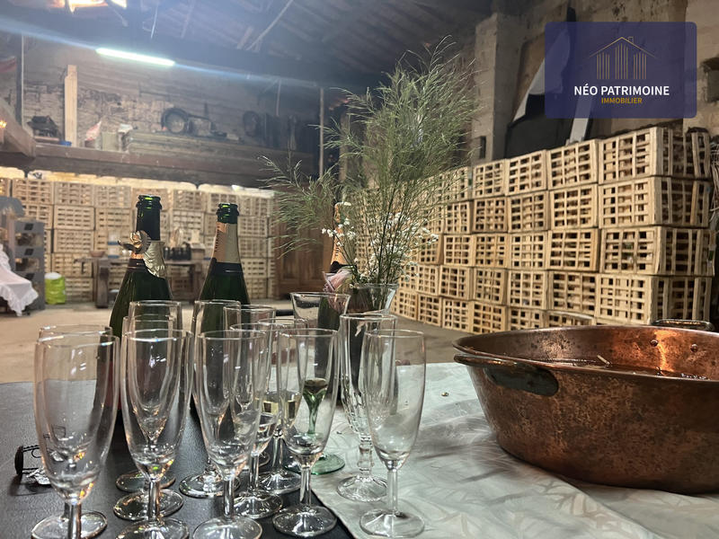 Maison ancienne - 166 m² - 5 pièces